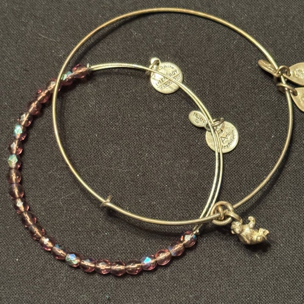 Vintage Alex and Ani Bracelets Silver Tone Beaded Frog Charm - Picture 3 of 3